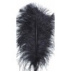 FEATHERS OSTRICH WING Black 14-17" FEATHERS OSTRICH WING Black 14-17"